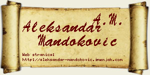 Aleksandar Mandoković vizit kartica